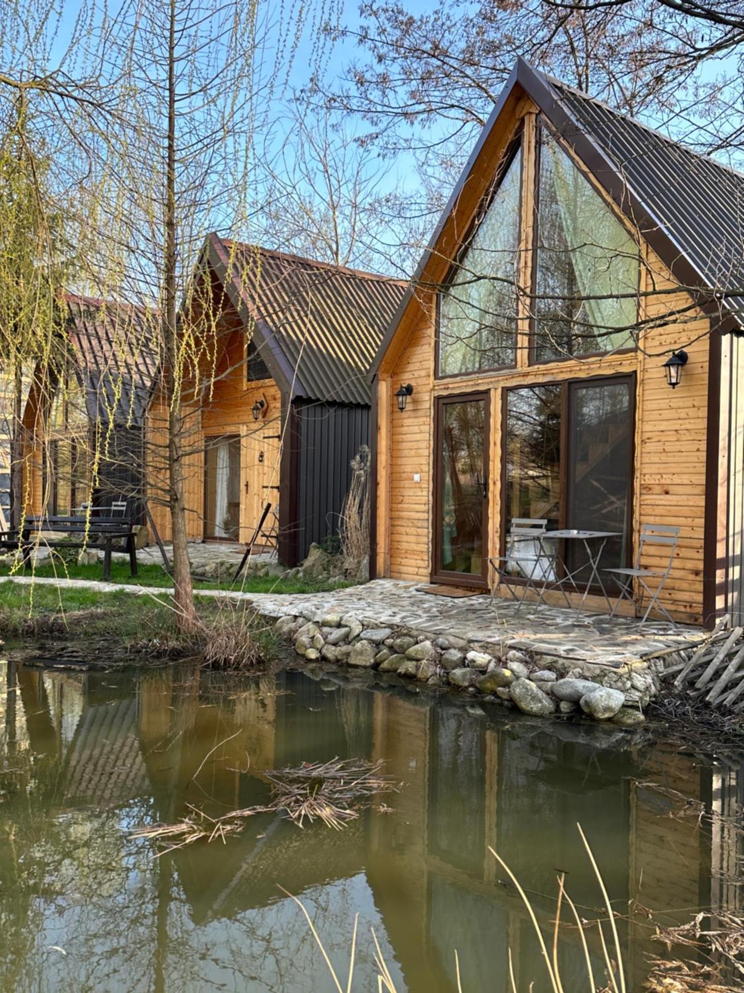 Conacul Lui Patrick Hotel Poenari Exterior photo